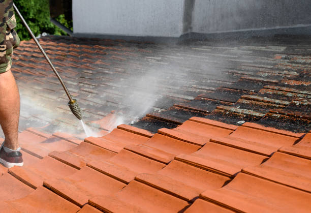 Best Sidewalk Pressure Washing  in South Creek, WA