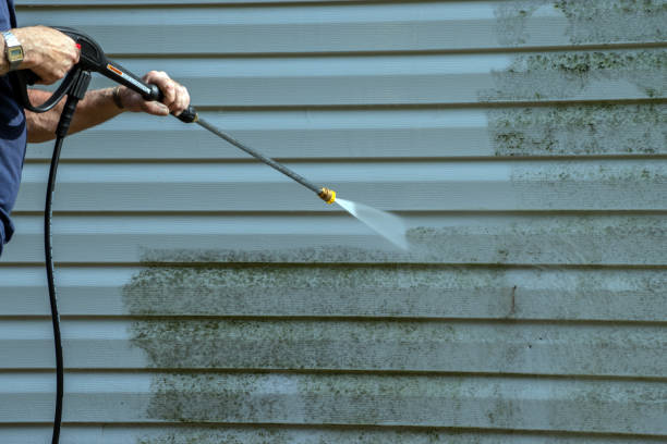 Best Pressure Washing Near Me  in South Creek, WA