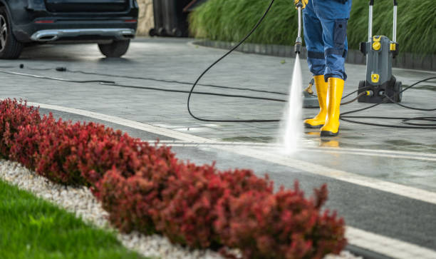 Best Affordable Pressure Washing  in South Creek, WA