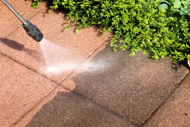 Best Affordable Pressure Washing  in South Creek, WA